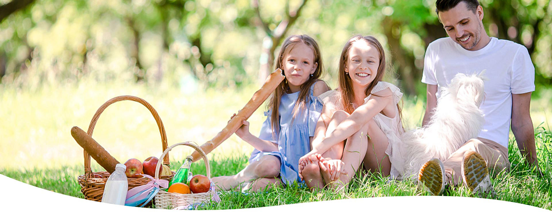 Color Spray Wholesale & Customized Color Spray Bulk for Sale