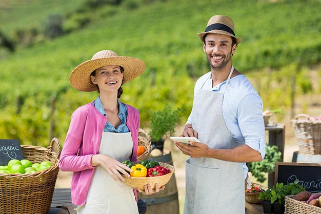 Overview of the World's Leading House Cleaning Products Manufacturers